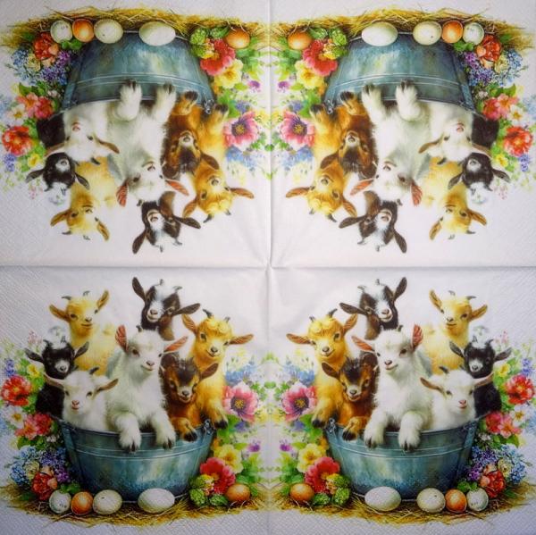 011 Sheep - 3-ply (11)